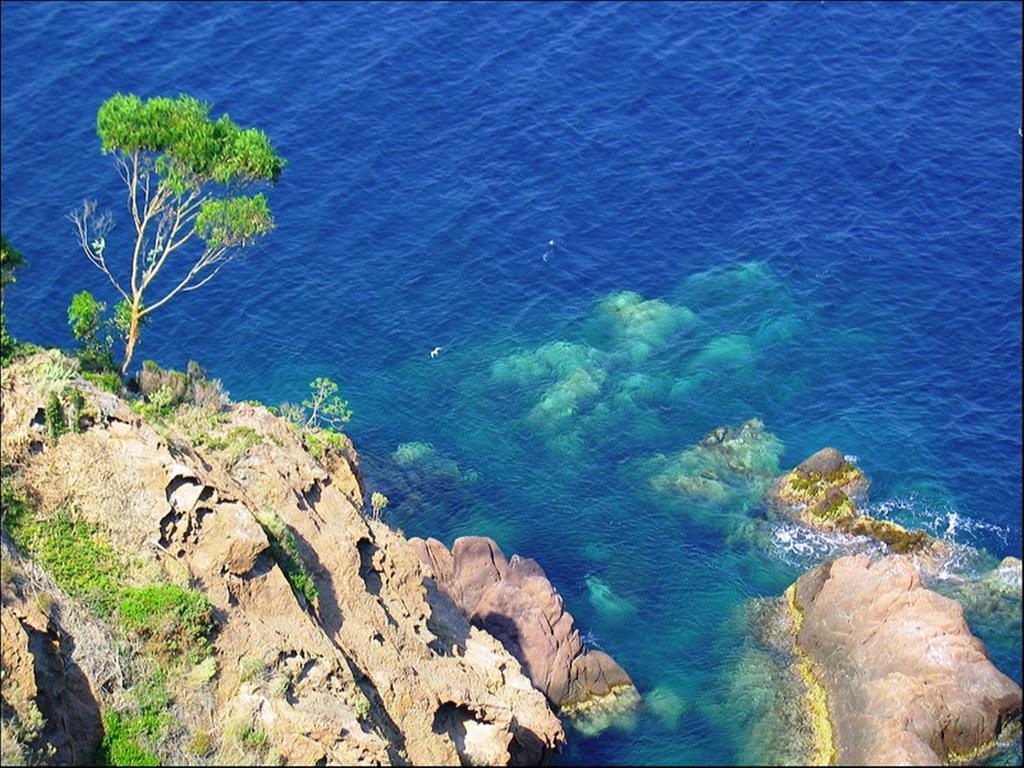 Fréjus Vacanceole - Les Calanques Du Parc المظهر الخارجي الصورة